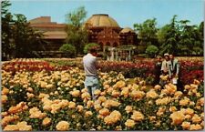 c1950s Los Angeles, CA Postcard 