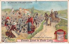 Chromos.AM13177.Liebig.Au pays du Champagne.Vendanges near Epernay picture