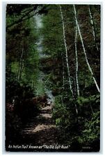 1911 An Indian Trail Known As The Old Salt Road Old Orchard Maine ME Postcard picture