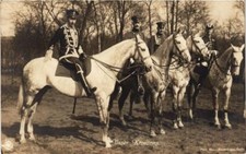Old postcard Our Crown Prince German Royalty (701747) picture