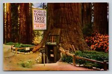 World Famous Tree House Near Laytonville On Redwood Highway California Unposted picture