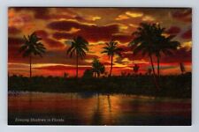 FL-Florida, Evening Shadows in Florida, Antique Vintage Card Souvenir Postcard picture