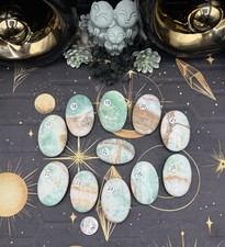 Natural Caribbean Calcite Palm Stones picture