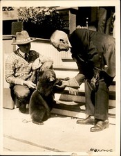GA289 1926 Orig Underwood Photo STRANGE PLAYMATE PRESIDENT COOLIDGE & BEAR CUB picture