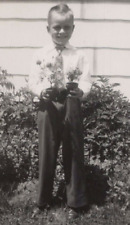 4Y Photograph Portrait Boy Potted Plants Flowers 1950 picture