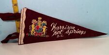 Vintage Harrison Hot Springs British Columbia Small Pennant  picture