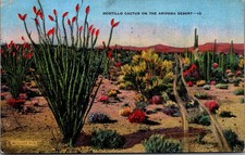 Vintage 1941 Ocotillo Cactus Arizona Desert Linen Postcard Phoenix Posted picture