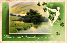 Gottschalk Dreyfuss & Davis WISH YOU WELL Clover Embossed c1913 Postcard picture