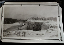 1900s Photo Album Buffalo NY Niagara Falls / Christmas Trees / Zoo / 135 Pics picture