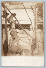 c1910's Pet Squirrels Hoboken New Jersey NJ RPPC Photo Posted Antique Postcard picture