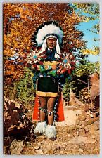 Indian Chief Full Dress Costume Postcard UNP VTG Plastichrome Unused Vintage picture