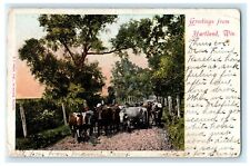 1907 Greetings From Hartland Wisconsin WI Nashotah Antique Postcard picture