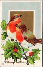 1911 MERRY CHRISTMAS Embossed Postcard Robin Birds / Holly Branch STECHER 224F picture