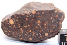 Meteorite ACFER 404 ( Provisional name ) CR2  CARBONACEOUS METEORITE 48 gram picture