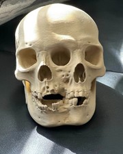 Two Faced Skull 3D Printed picture