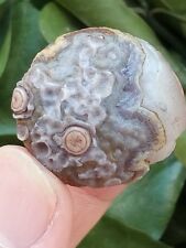 28mm Rare Natural Gobi Agate eyes agate/stone,Suiseki-viewing collection china picture