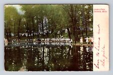 Jackson MI-Michigan, Loomis Park, Lake, Antique Vintage c1907 Souvenir Postcard picture