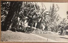RPPC Smiley Heights Redlands California Antique Real Photo Postcard c1910 picture