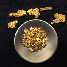 2+ Oz Gold Paydirt NUGGET Reserve Concentrate - Guaranteed GOLD Inside Flakes picture