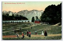 BOWEN ISLAND ~ Baseball Field ~ Ball grounds British Columbia picture