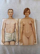 Vintage Human Anatomy Pamphlets Male Female Medical Teaching Aids Set 1940-1950 picture