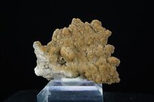Colemanite Ps. Inyoite /RARE Pseudomorph Mineral Specimen / Corkscrew Canyon, CA picture