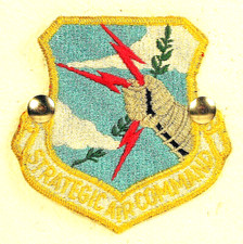 USAF US Air Force Strategic Air Command SAC Full Color Insignia Badge Patch picture