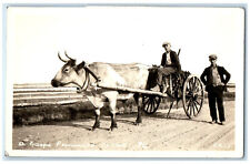 c1940's A Gaspe Peninsula Ox Cart Quebec Canada RPPC Photo Vintage Postcard picture