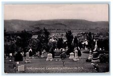 c1910's Glenwood Cemetery Oneonta New York NY Unposted Antique Postcard picture
