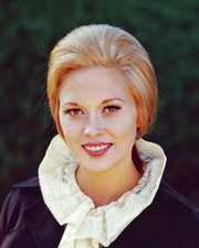 Faye Dunaway as she poses outdoors 1960s or early 1970s Old Photo picture