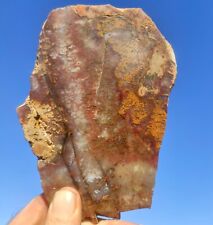 9.7 oz Large Red Plume moss  Agate Slab  picture