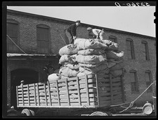Photo:Wendell North Carolina 1939 Tobacco Stem Plant Loading Truck Workers picture