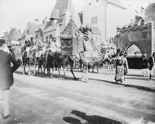 1893 Chicago World's Fair Arabian Circus Parade Camel Procession 8x10 Photo picture