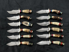 Lot of 12 -6