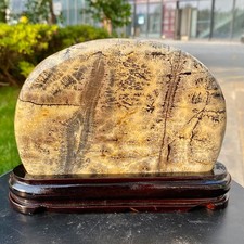2.54LB Beautiful Natural Chinese Dendritic Limestone Picture Stone Guohua - Rare picture