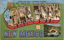 CARLSBAD, New Mexico Large Letter Postcard 