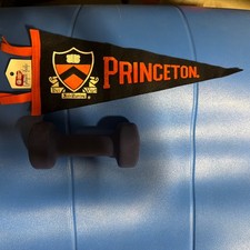 Vintage Princeton Mini Pennant- College / University Memorabilia picture