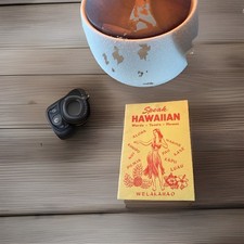 Vintage Dole Learn to Speak Hawaiian Booklet / Tiki Bar / Hawaiiana picture