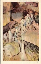 Great Natural Underground Crystal Cave Prairie Dogs Pennsylvania PA Postcard UNP picture