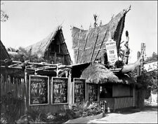 1963 Disneyland Tiki Room Photo 11x14 - Enchanted Disney Adventureland picture