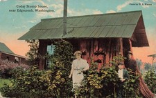 EDGECOMB WA CEDAR STUMP HOUSE 1916 POSTCARD 081626 V picture