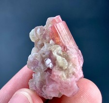 50 Carat Tourmaline Crystal  Specimen From Afghanistan picture