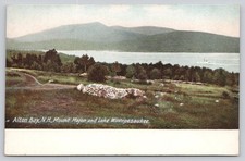 Alton Bay NH Mount Major Lake Winnipesaukee Hugh C. Leighton Postcard picture