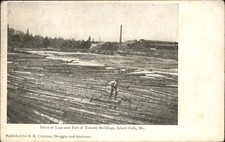 Island Falls ME Drive of Logs c1900s-10s Vintage Postcard picture