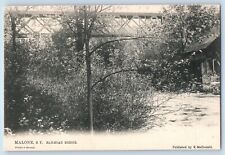Malone New York Postcard Railroad Bridge Exterior View c1905 Raphael Tuck Sons picture