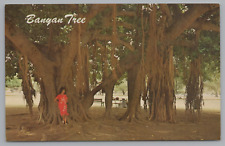 Postcard Banyan Tree Lahaina Maui Hawaii Unposted Chrome picture