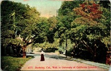 Berkeley CA Walk in University Grounds Postcard Used (35097) picture