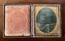 TABBY CAT ANTIQUE TINTYPE PHOTO 1850s CASE ORIGINAL 1800s RARE KITTEN picture