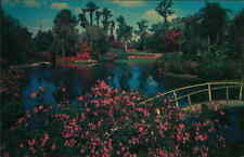 Postcard: FAMOUS CYPRESS GARDENS Florida picture
