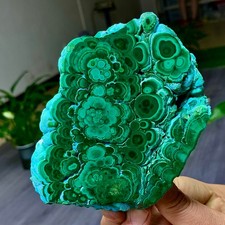 1.79LB Natural glossy Malachite transparent crystal rough mineral sample healing picture